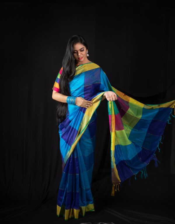 Blue and colour Saree